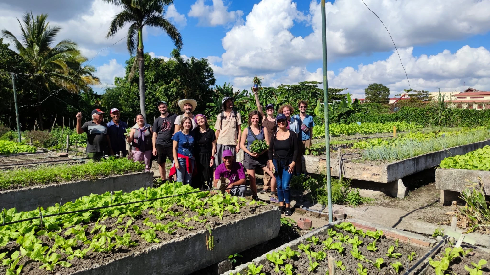Seeds of Friendship collaborators gathered among raised vegetable beds