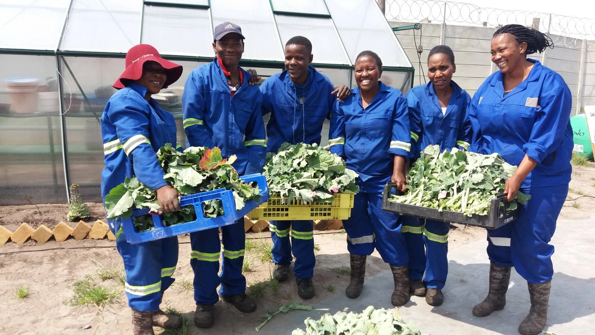 Six Mhani Gingi nursery colleagues holding crates of freshly harvested vegetables