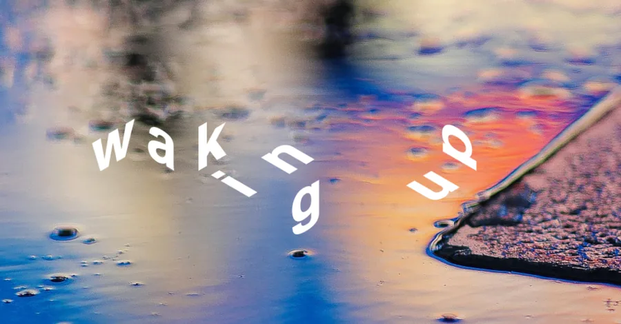 The Politics of Waking Up cover