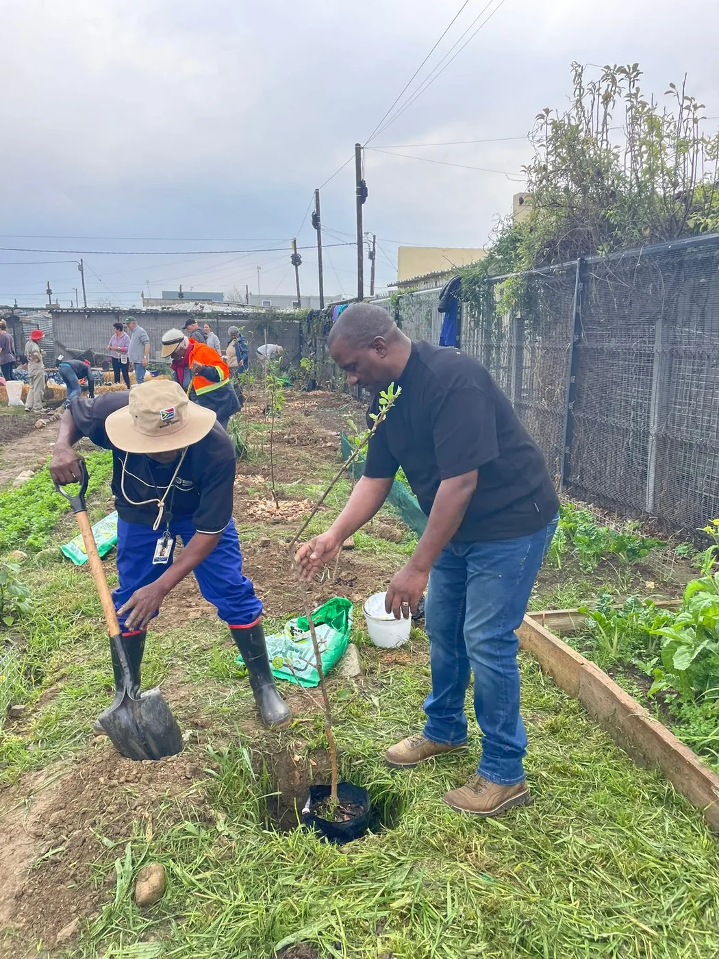 Community members working together at the Silukhanyo planting day