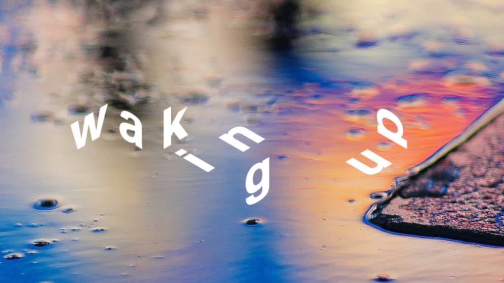 The Politics of Waking Up